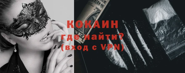 стаф Абинск